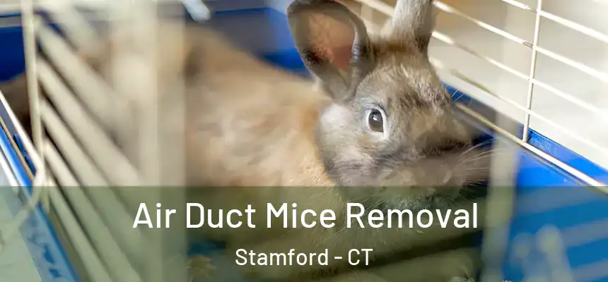 Air Duct Mice Removal Stamford - CT