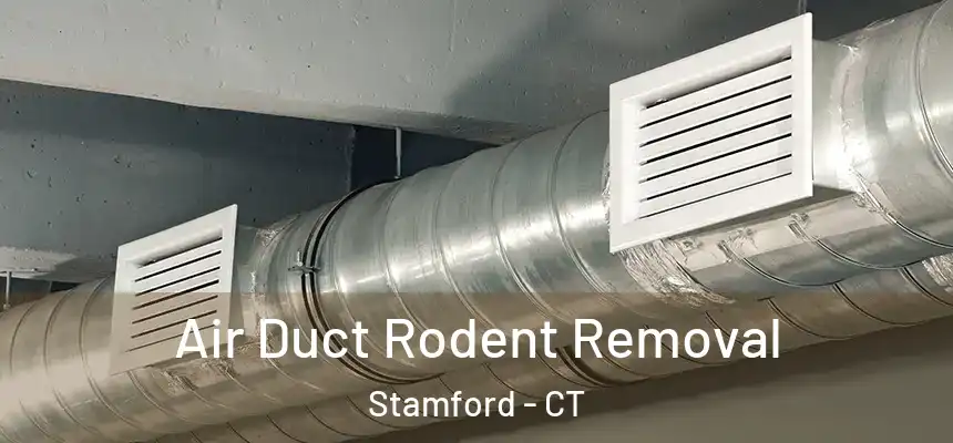 Air Duct Rodent Removal Stamford - CT