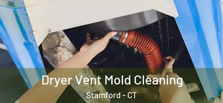 Dryer Vent Mold Cleaning Stamford - CT