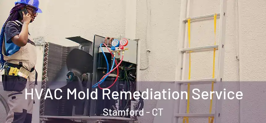 HVAC Mold Remediation Service Stamford - CT