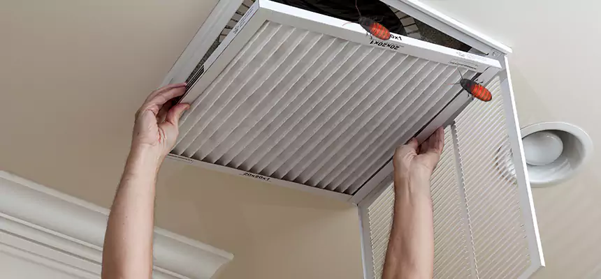 Preventive Cockroach-Proofing for Ducts in Stamford