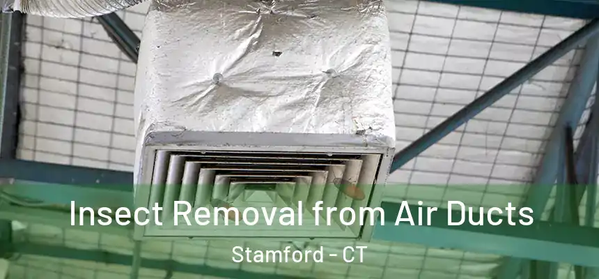 Insect Removal from Air Ducts Stamford - CT