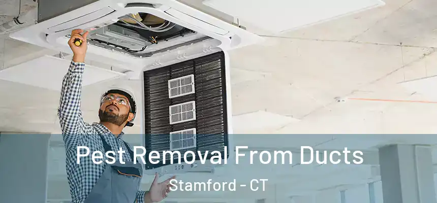 Pest Removal From Ducts Stamford - CT