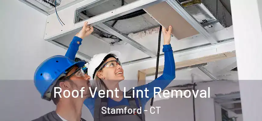 Roof Vent Lint Removal Stamford - CT