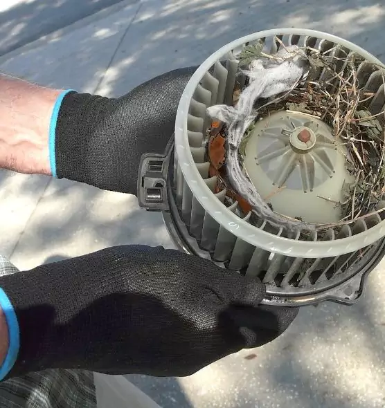 About Air Duct Rat Removal in Stamford, CT