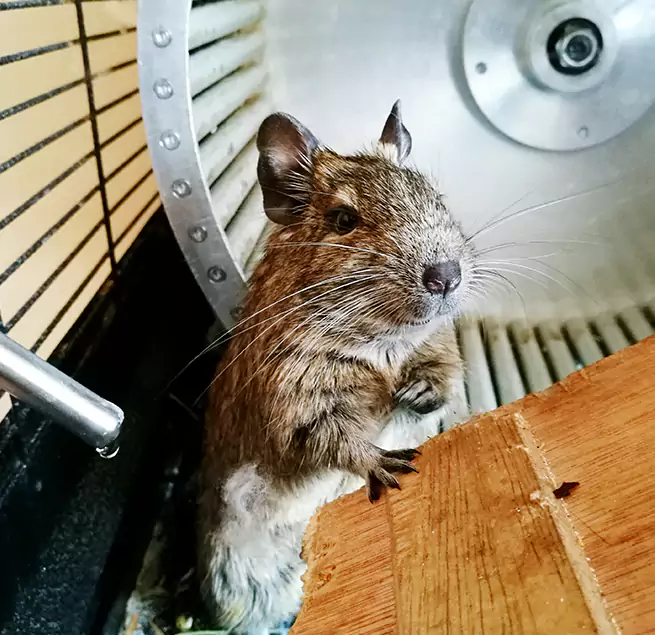 Why Homeowners & Businesses Trust Us Stamford, CT